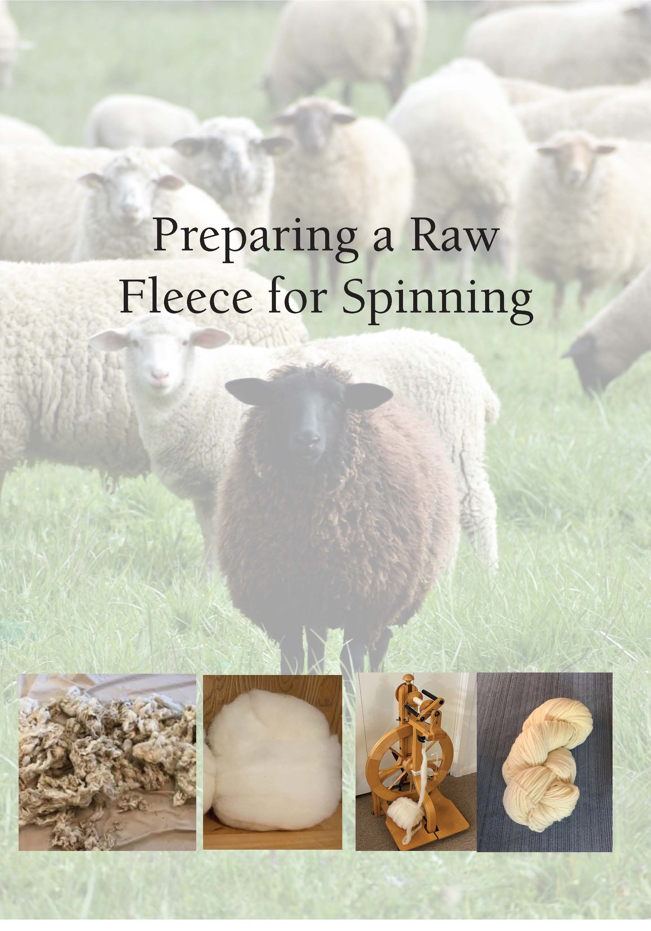 Preparing a Raw Fleece for Spinning