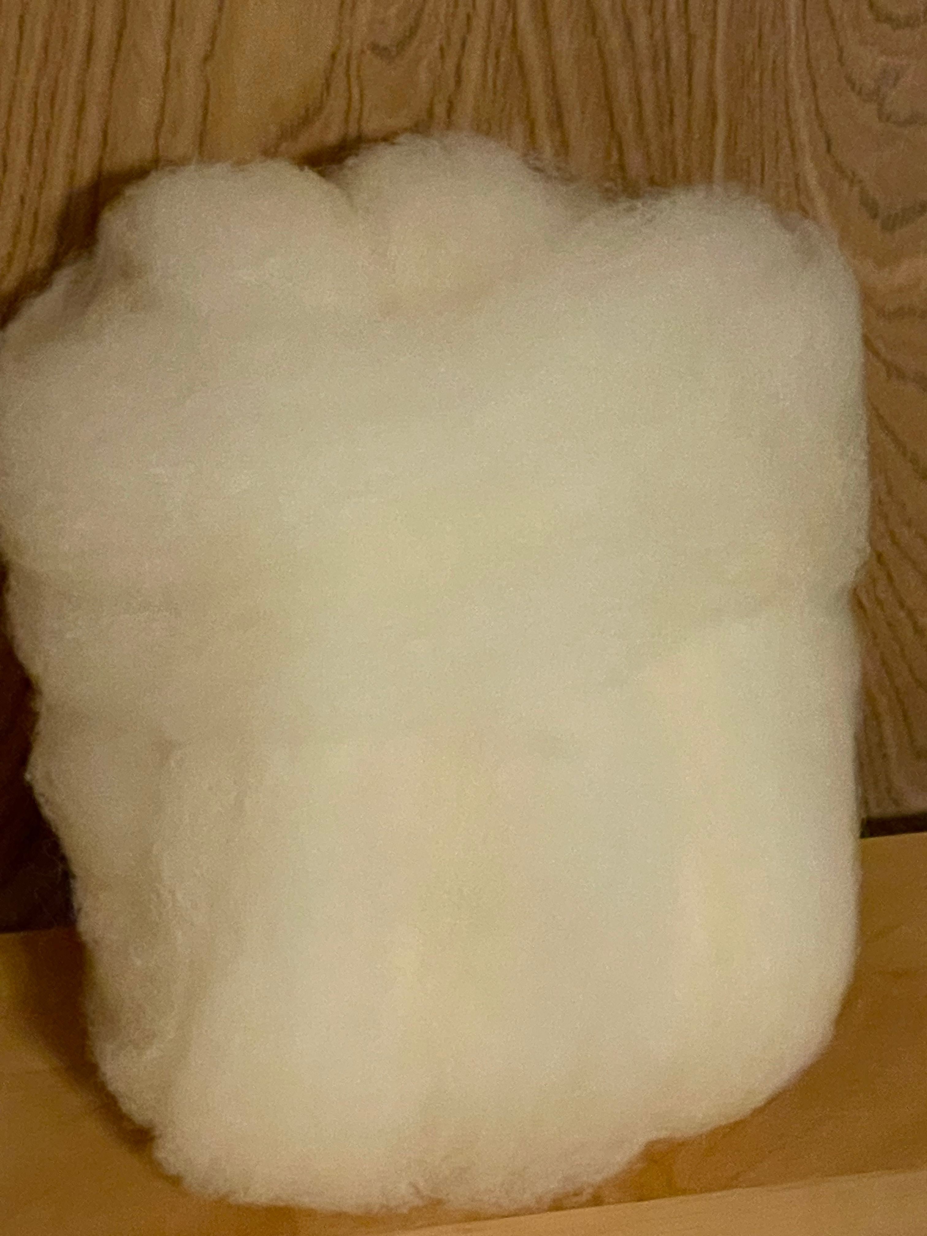 Fiber: Cormo/Rambouillet Cross