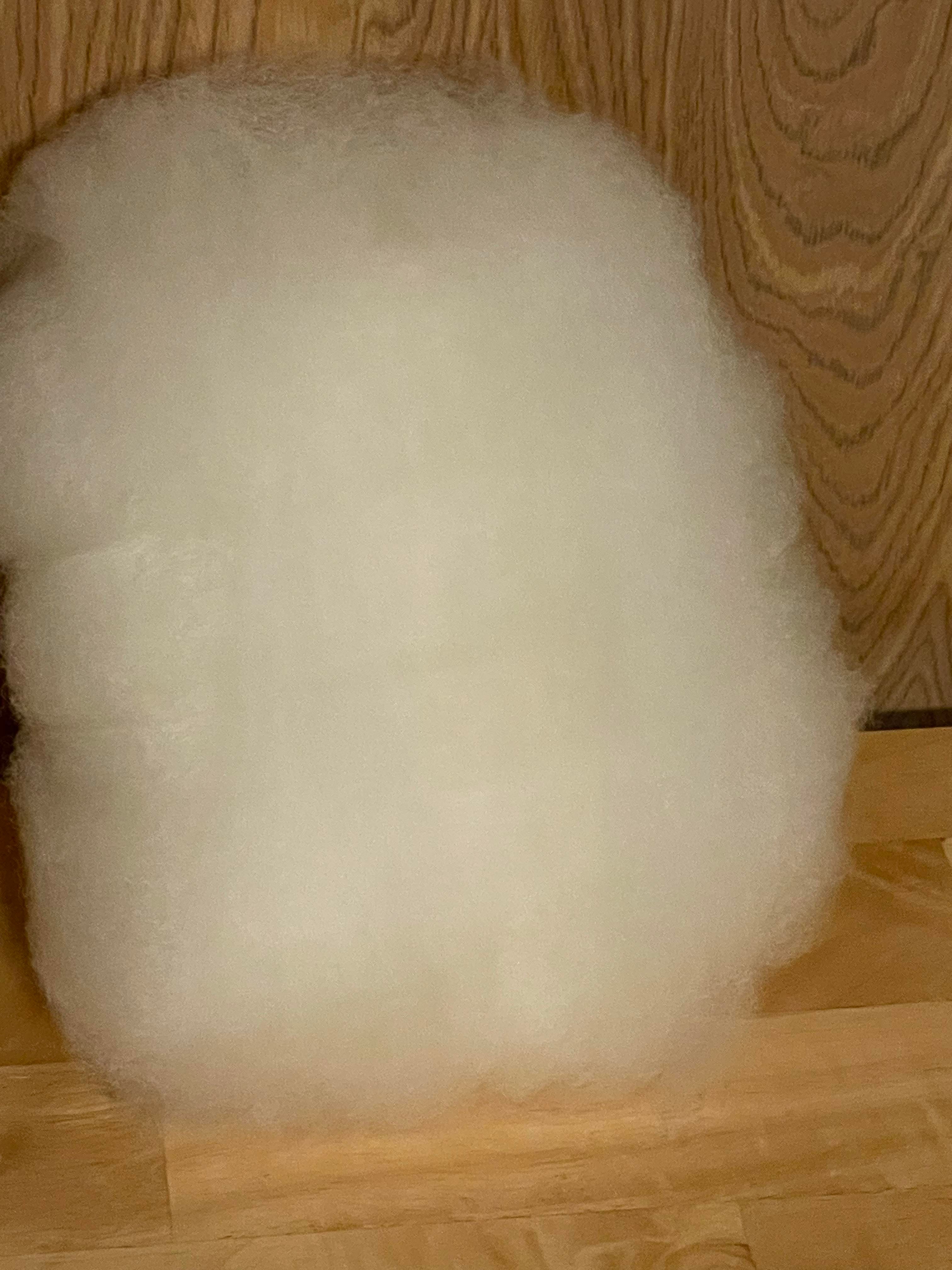 Fiber: Corriedale