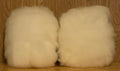 Fiber: Romney
